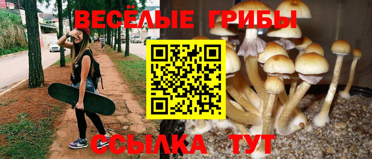 Баксан  Галлюциногенные грибы Magic Shrooms  Вход с VPN  Галлюциногенные грибы мухоморы 