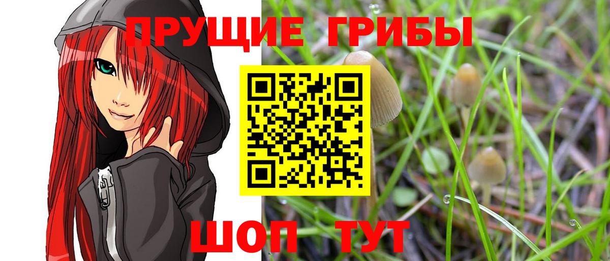 Галлюциногенные грибы GOLDEN TEACHER Баксан